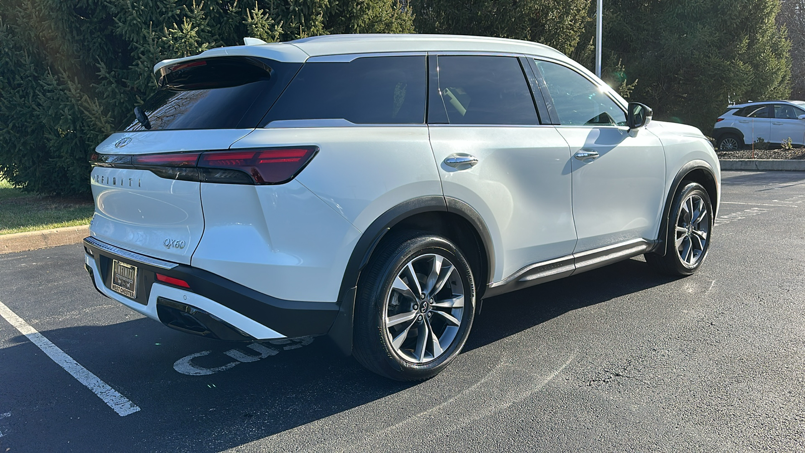 2023 INFINITI QX60 LUXE 7