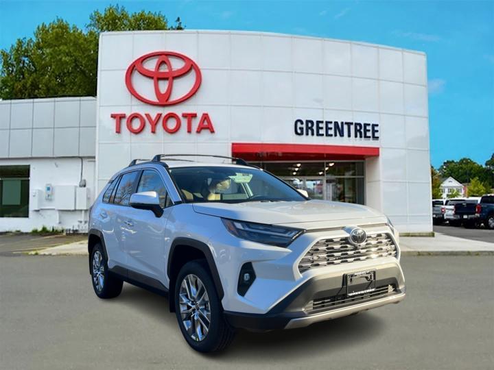 2025 Toyota RAV4 Limited 1