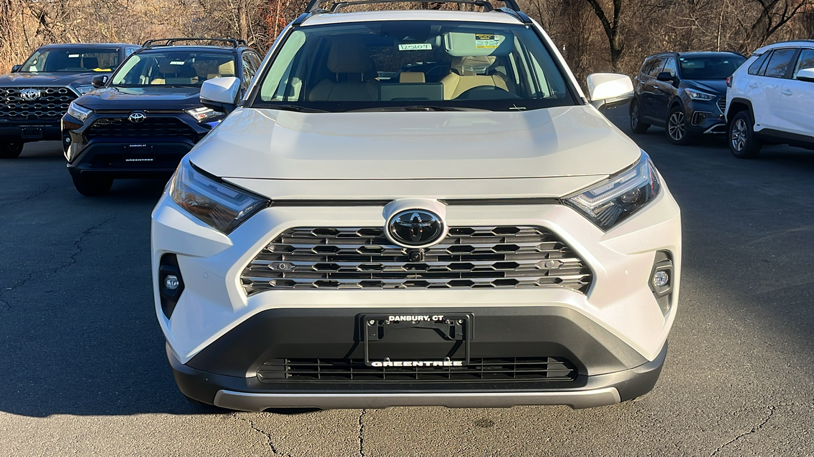 2025 Toyota RAV4 Limited 2