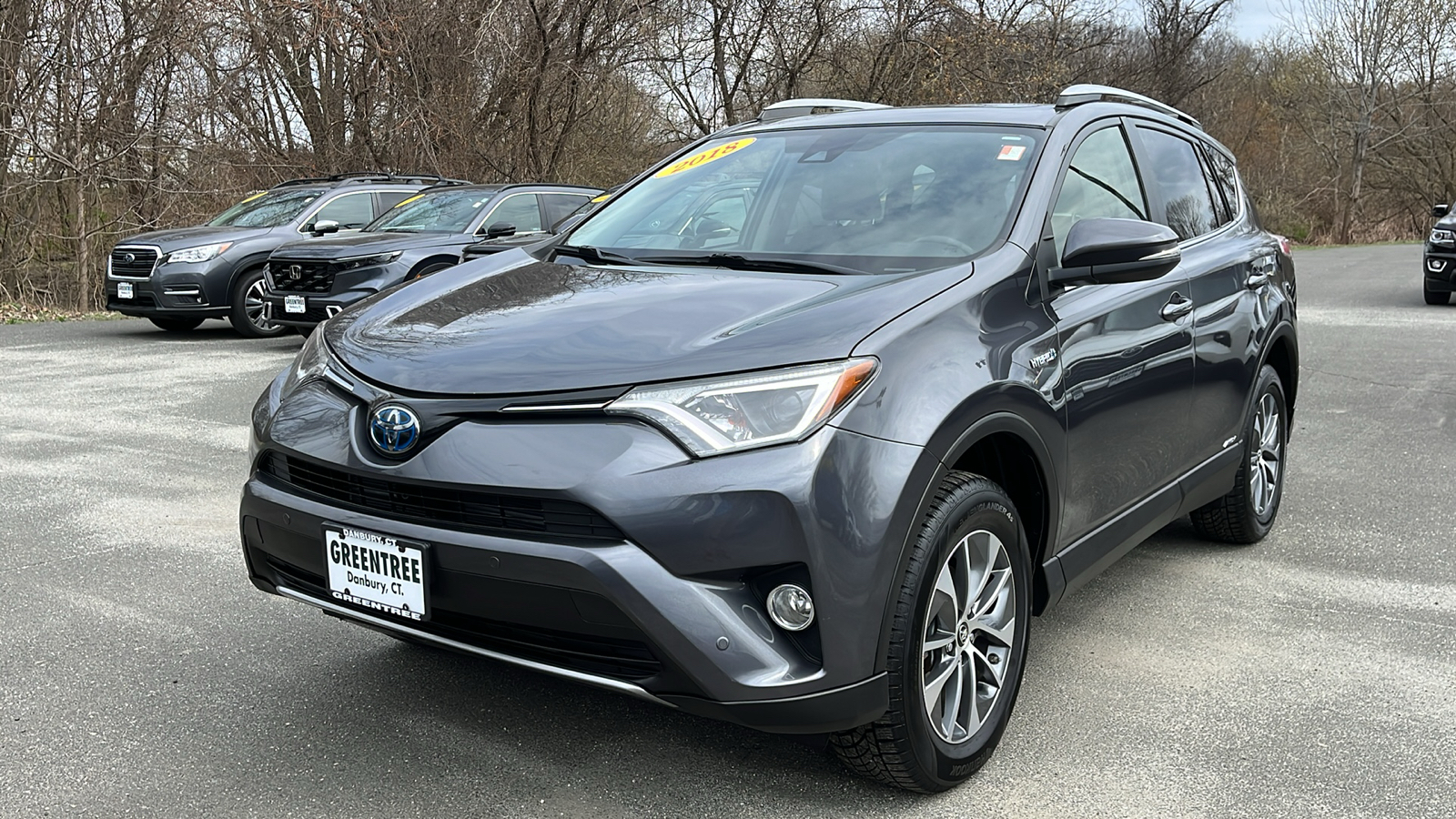 2018 Toyota RAV4 Hybrid XLE 4