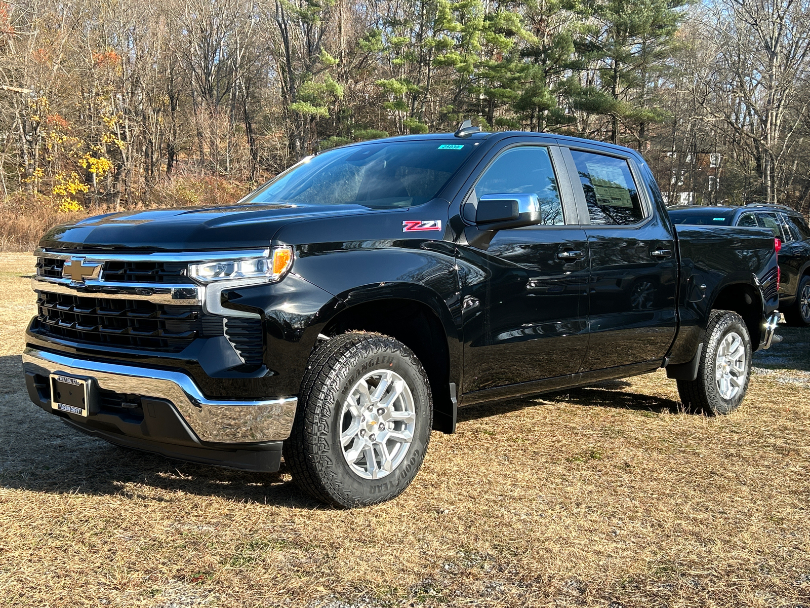 2025 Chevrolet Silverado 1500 LT 2