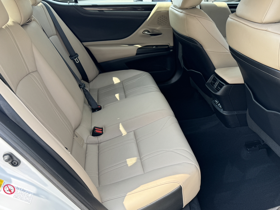 2019 Lexus ES 350 Luxury 14