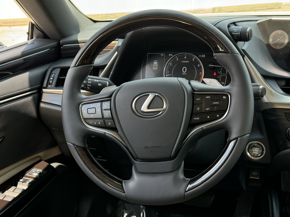 2019 Lexus ES 350 Luxury 24