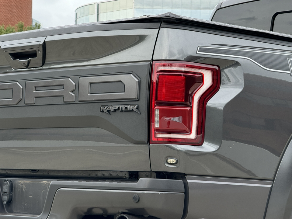 2019 Ford F-150 Raptor 6