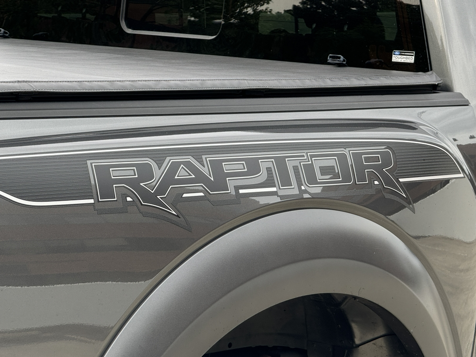 2019 Ford F-150 Raptor 7