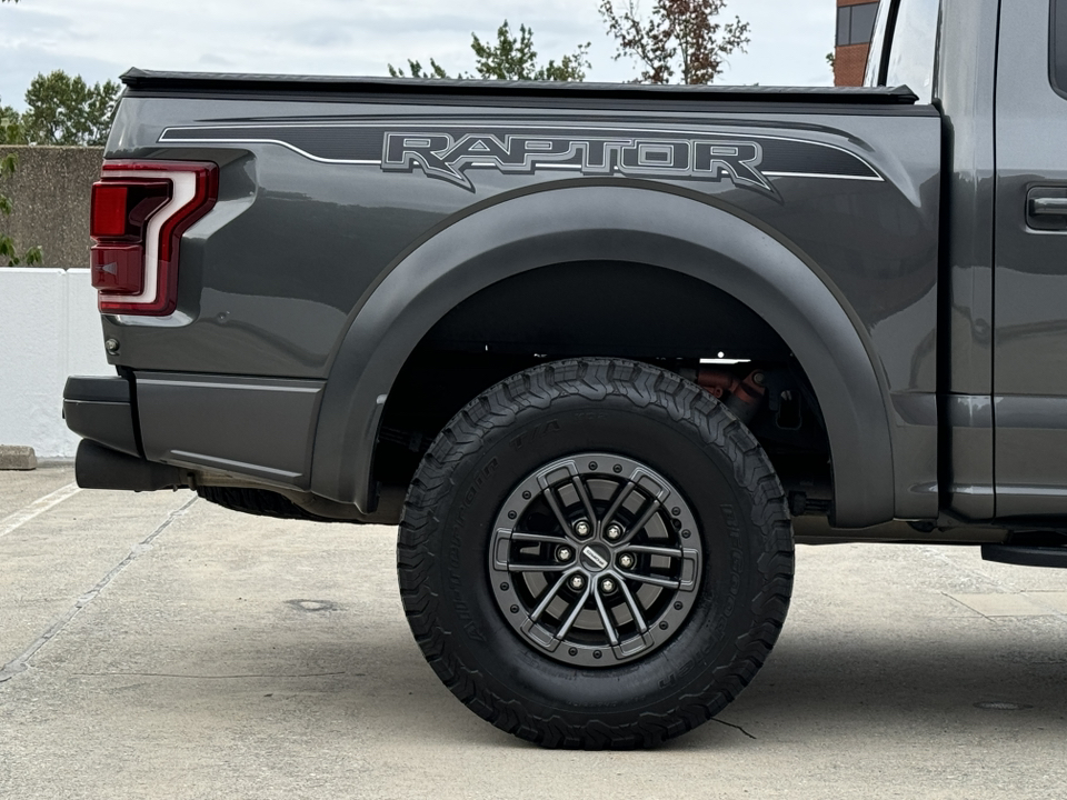 2019 Ford F-150 Raptor 8