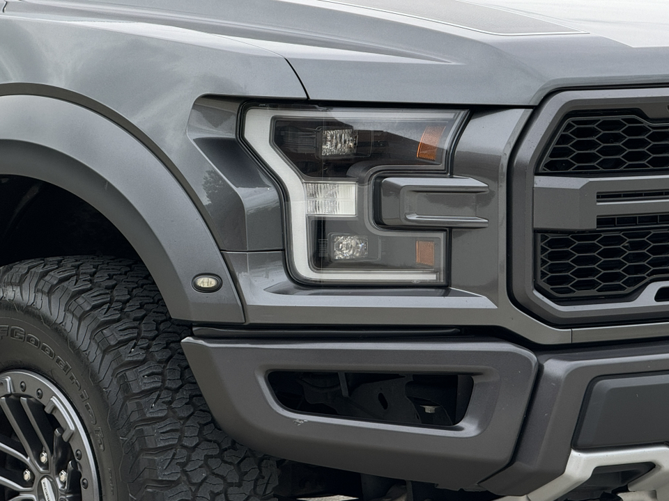 2019 Ford F-150 Raptor 10