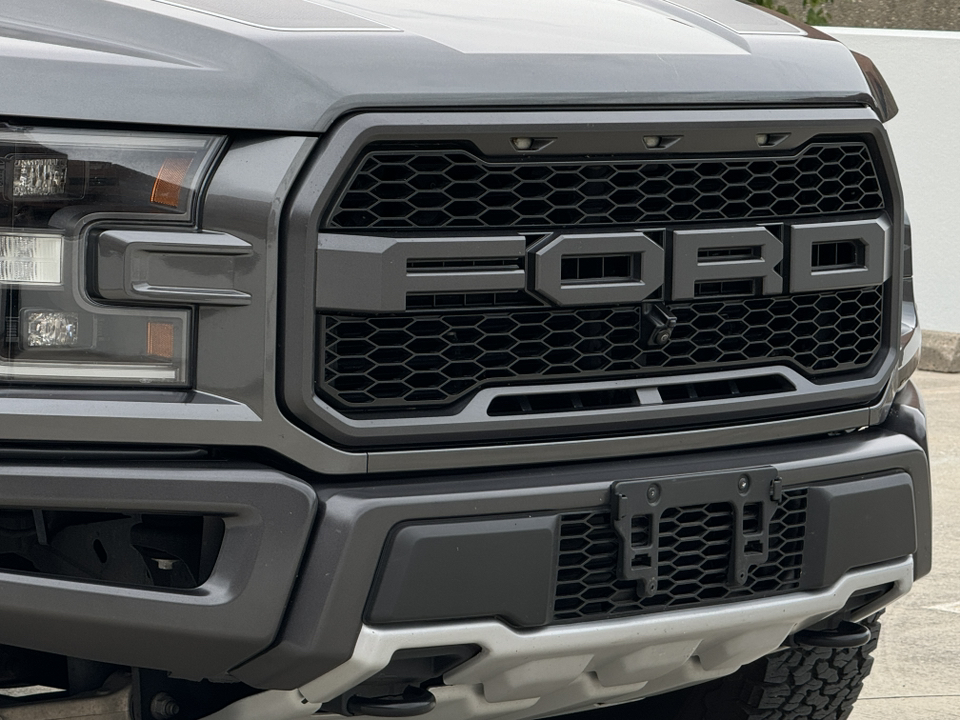 2019 Ford F-150 Raptor 11