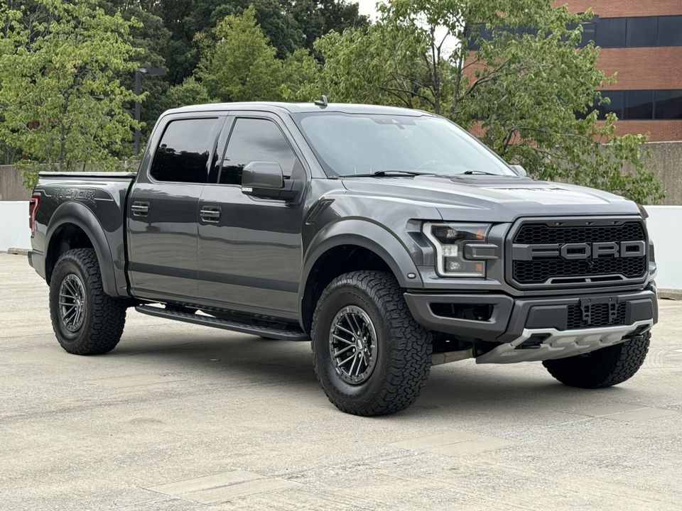 2019 Ford F-150 Raptor 50