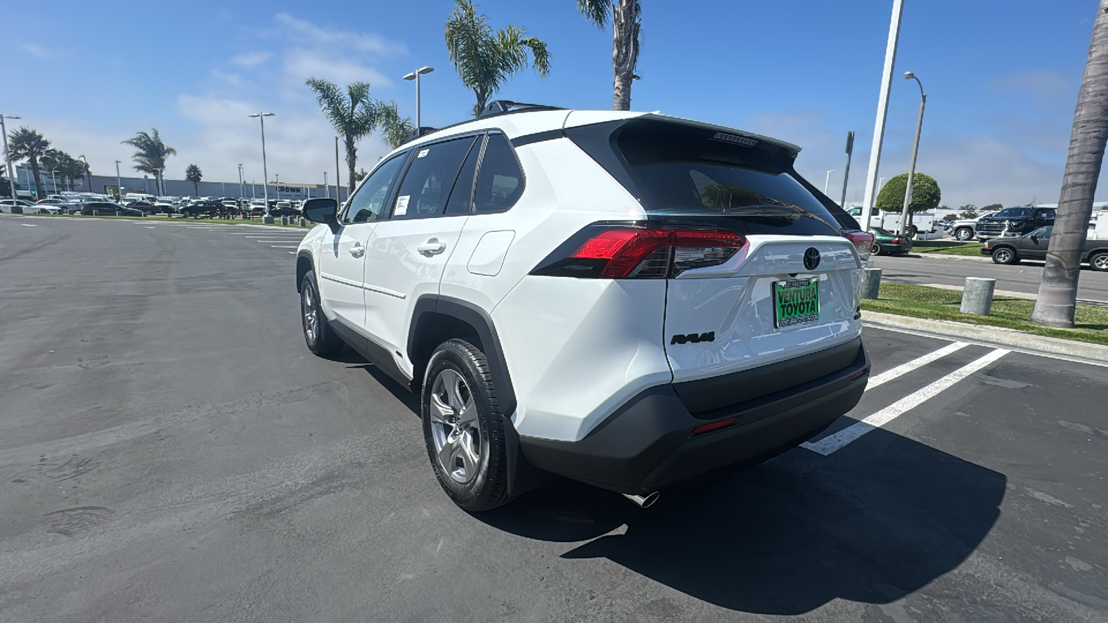 2024 Toyota RAV4 Hybrid LE 5