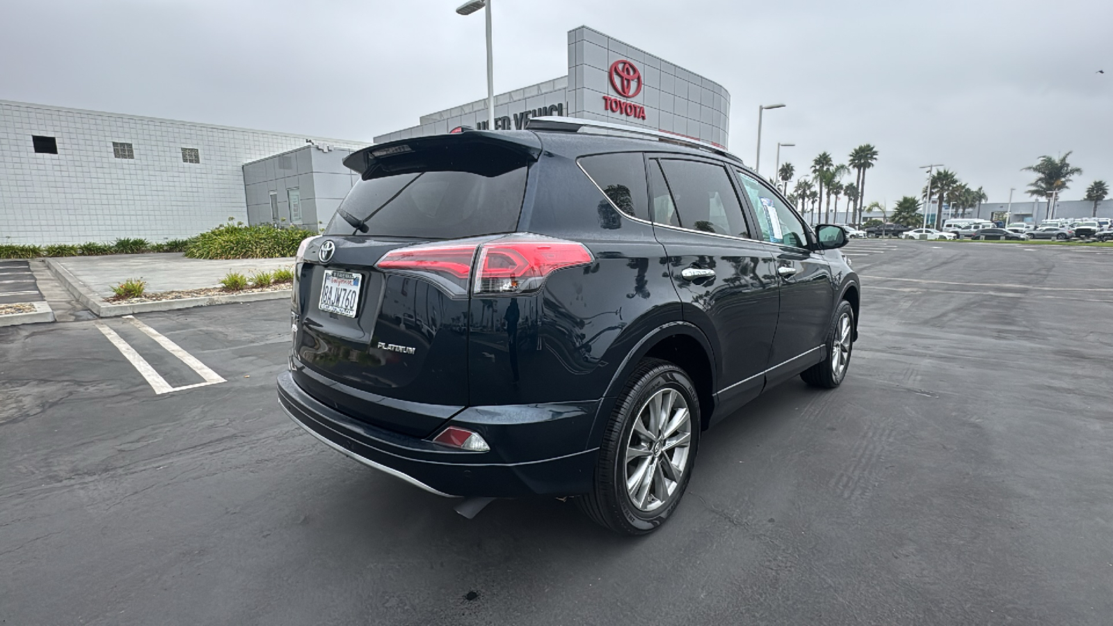 2017 Toyota RAV4 Platinum 3