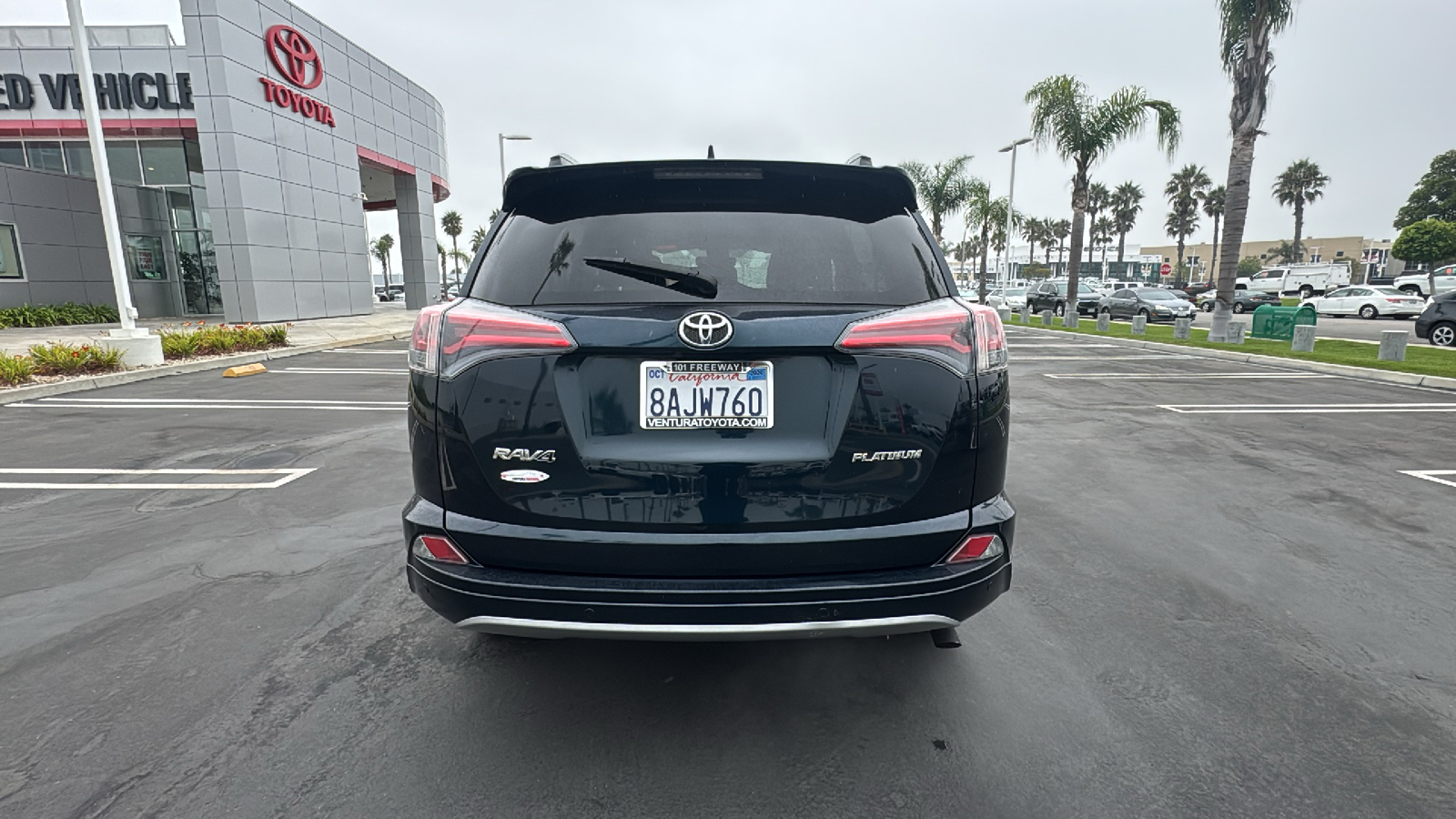 2017 Toyota RAV4 Platinum 4