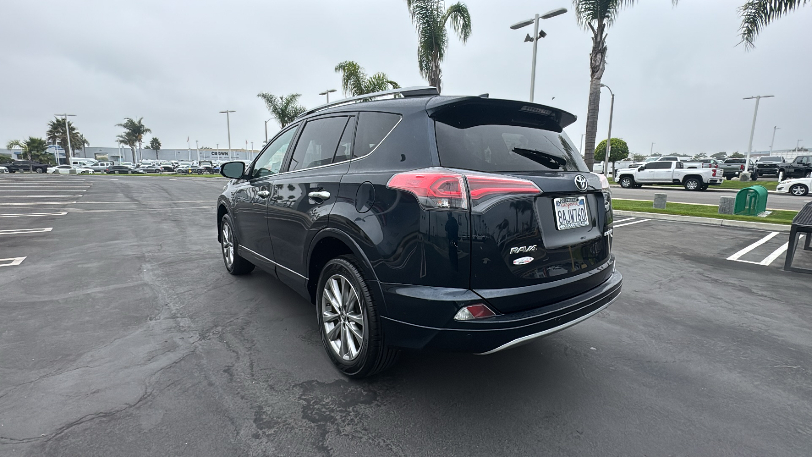 2017 Toyota RAV4 Platinum 5