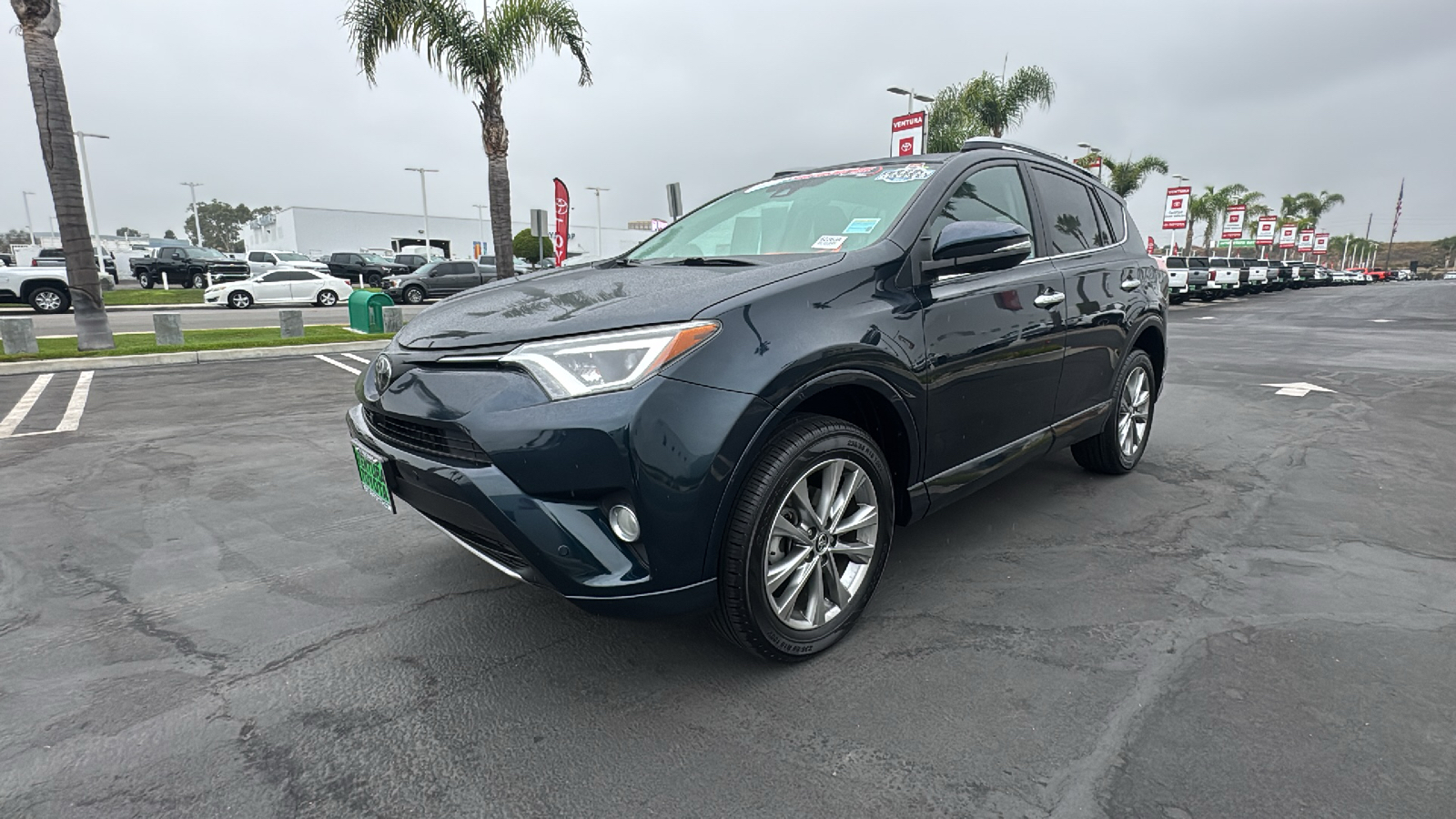 2017 Toyota RAV4 Platinum 7