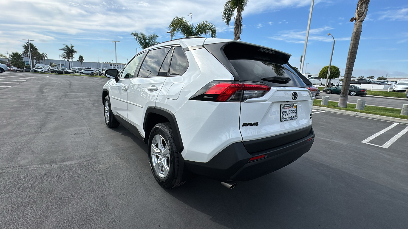 2019 Toyota RAV4 XLE 5