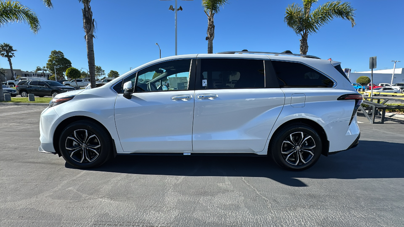 2025 Toyota Sienna Platinum 6