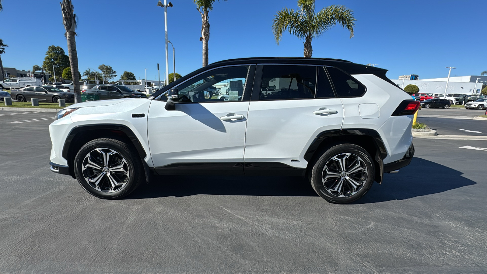 2024 Toyota RAV4 Prime XSE 6