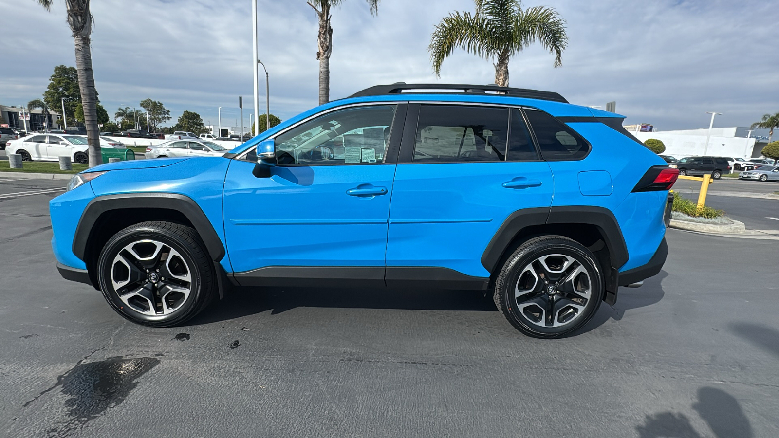 2019 Toyota RAV4 Adventure 6