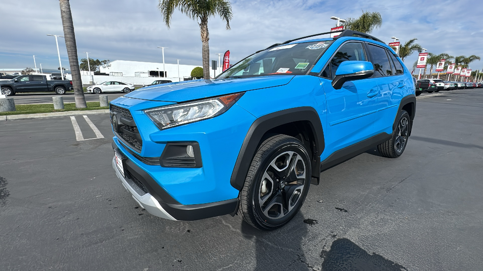 2019 Toyota RAV4 Adventure 7