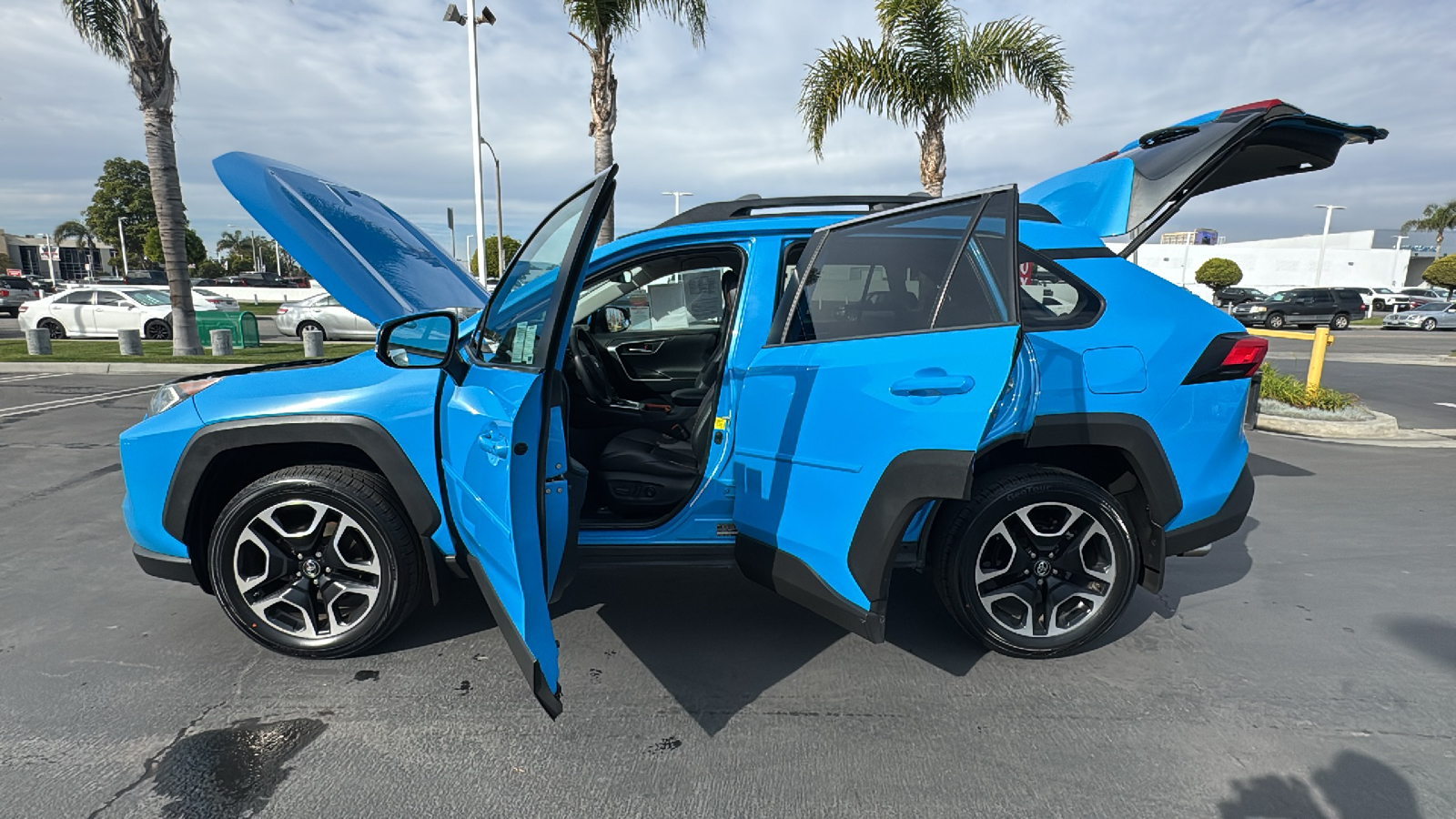 2019 Toyota RAV4 Adventure 11