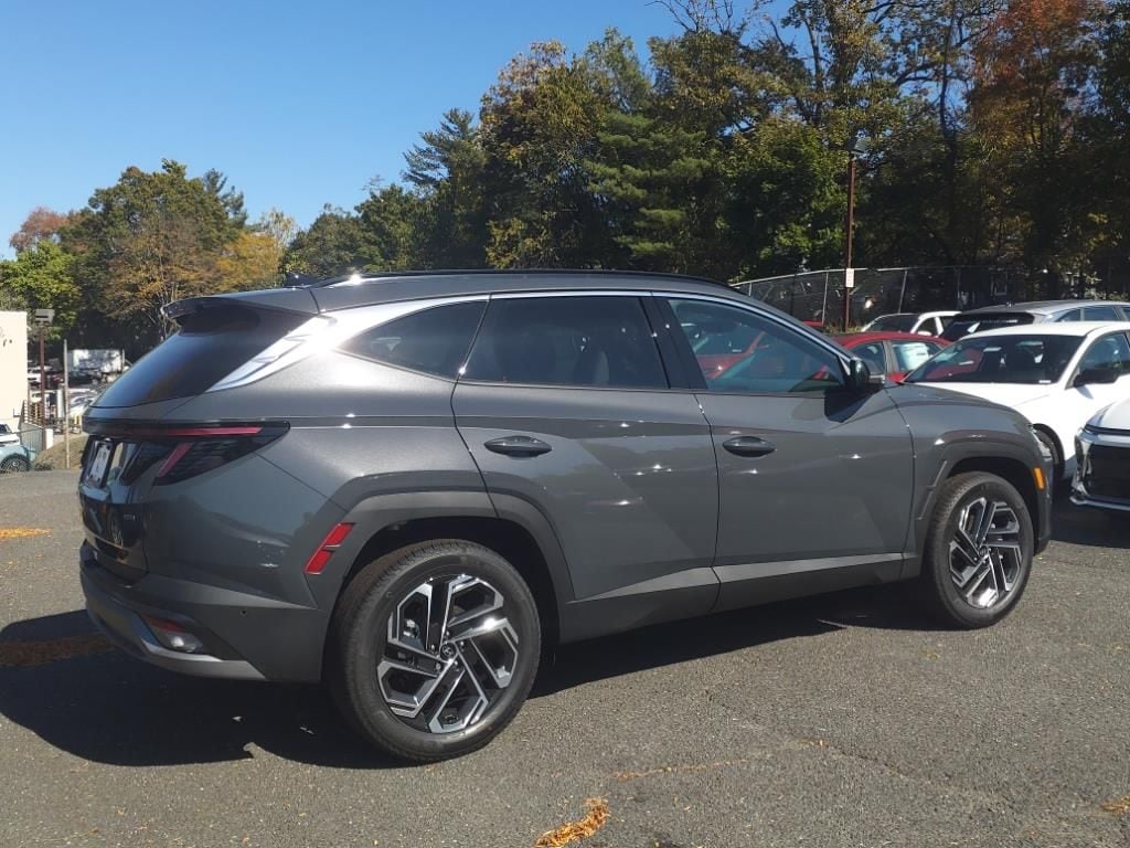 2025 Hyundai Tucson Limited 6