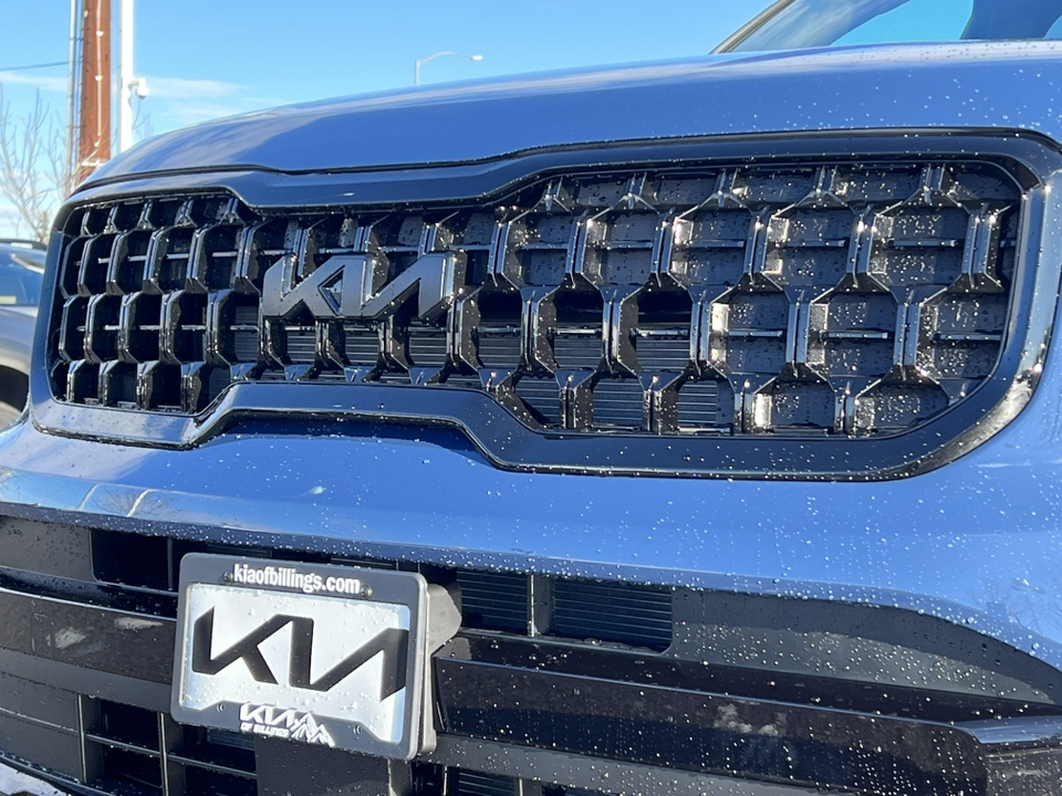 2025 Kia Telluride EX X-PRO 48