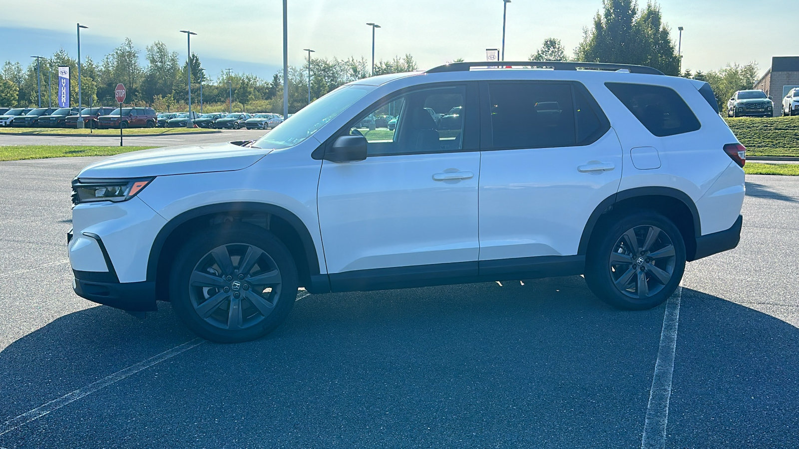 2025 Honda Pilot Sport 15