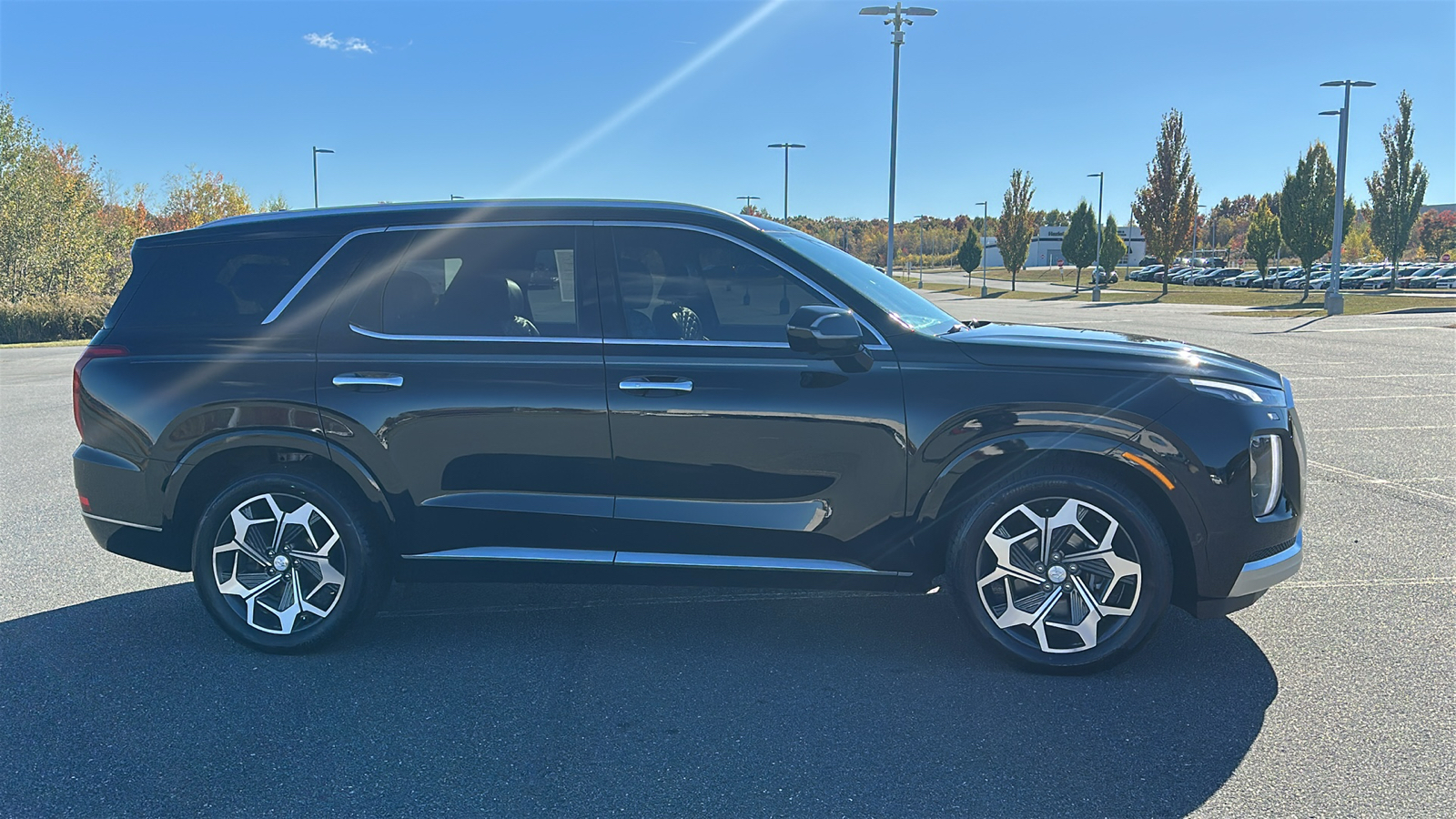 2021 Hyundai Palisade Calligraphy 3