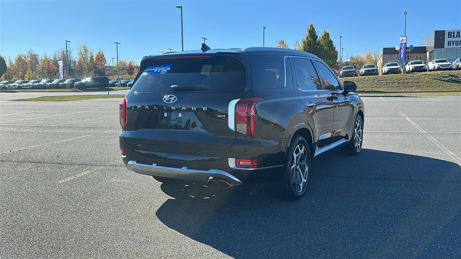 2021 Hyundai Palisade Calligraphy 6