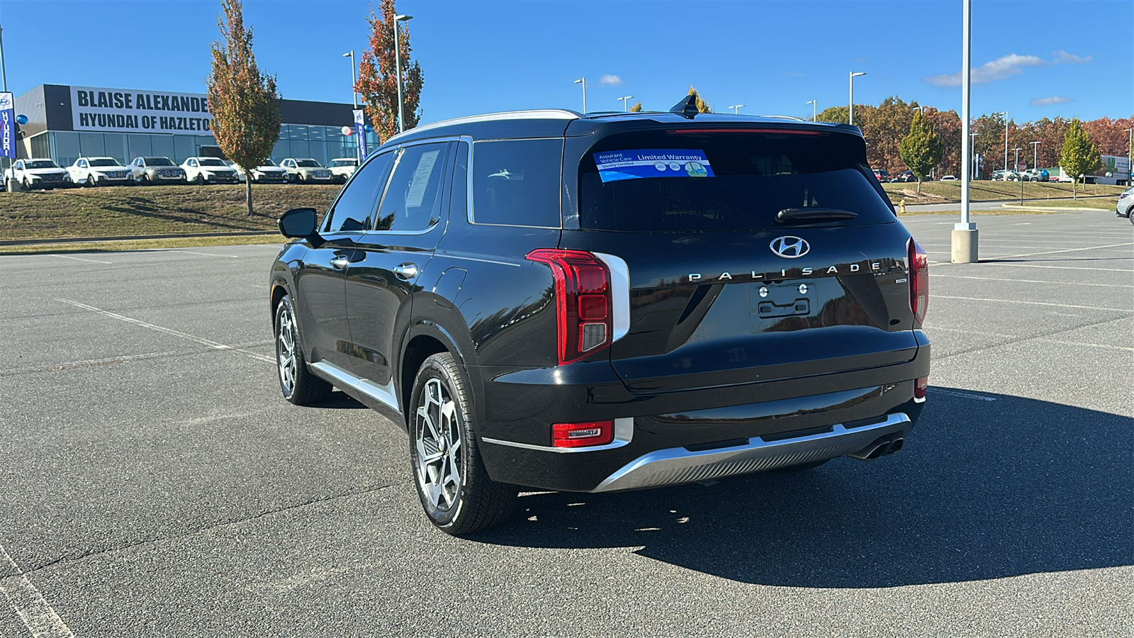 2021 Hyundai Palisade Calligraphy 8