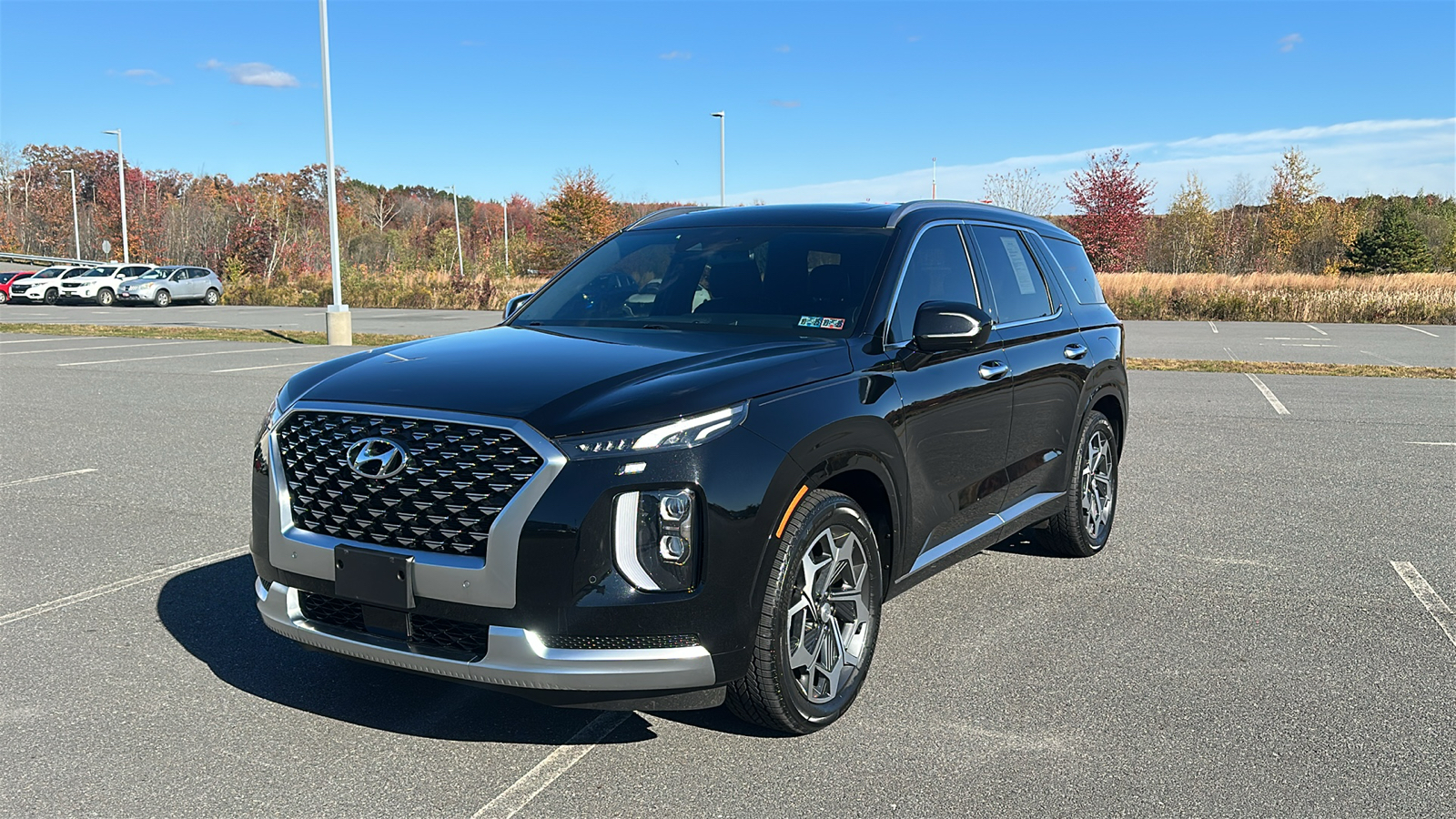 2021 Hyundai Palisade Calligraphy 13