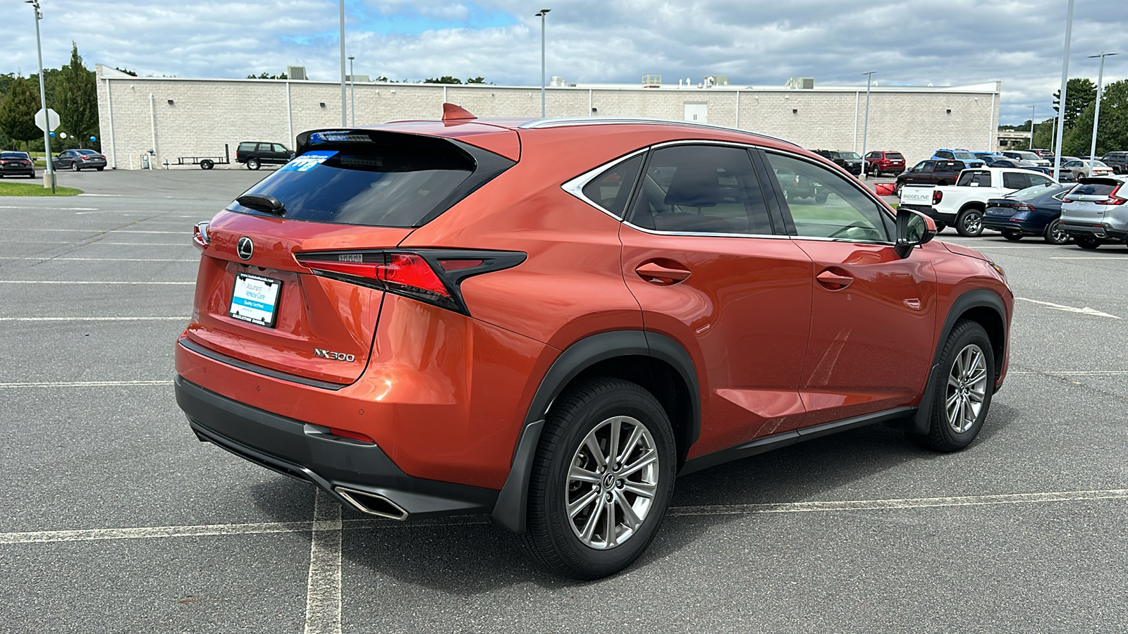 2020 Lexus NX 300 Base 6