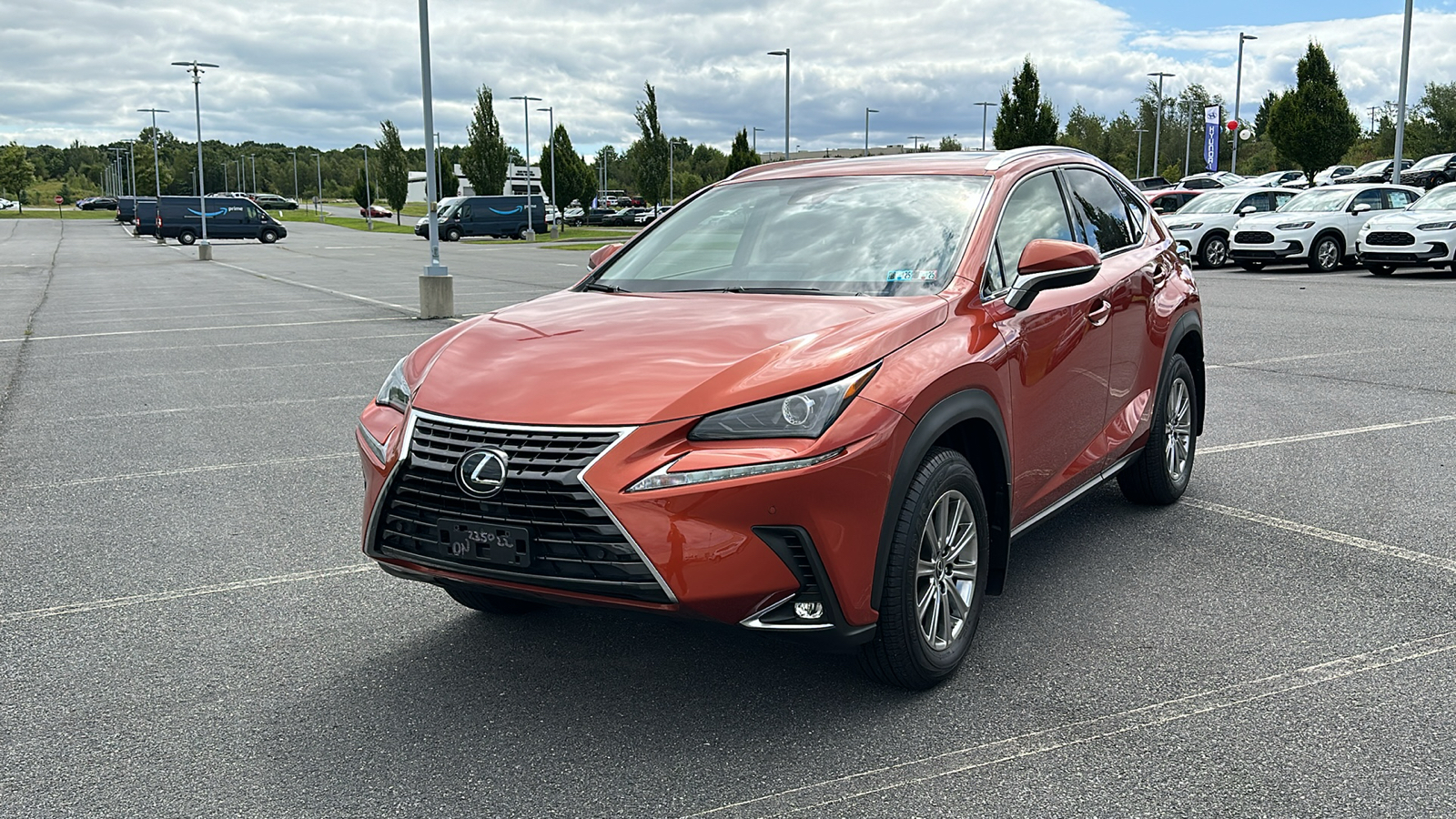 2020 Lexus NX 300 Base 15