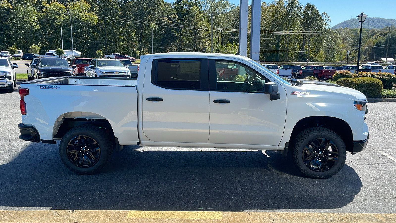 2025 Chevrolet Silverado 1500 Custom Trail Boss 9