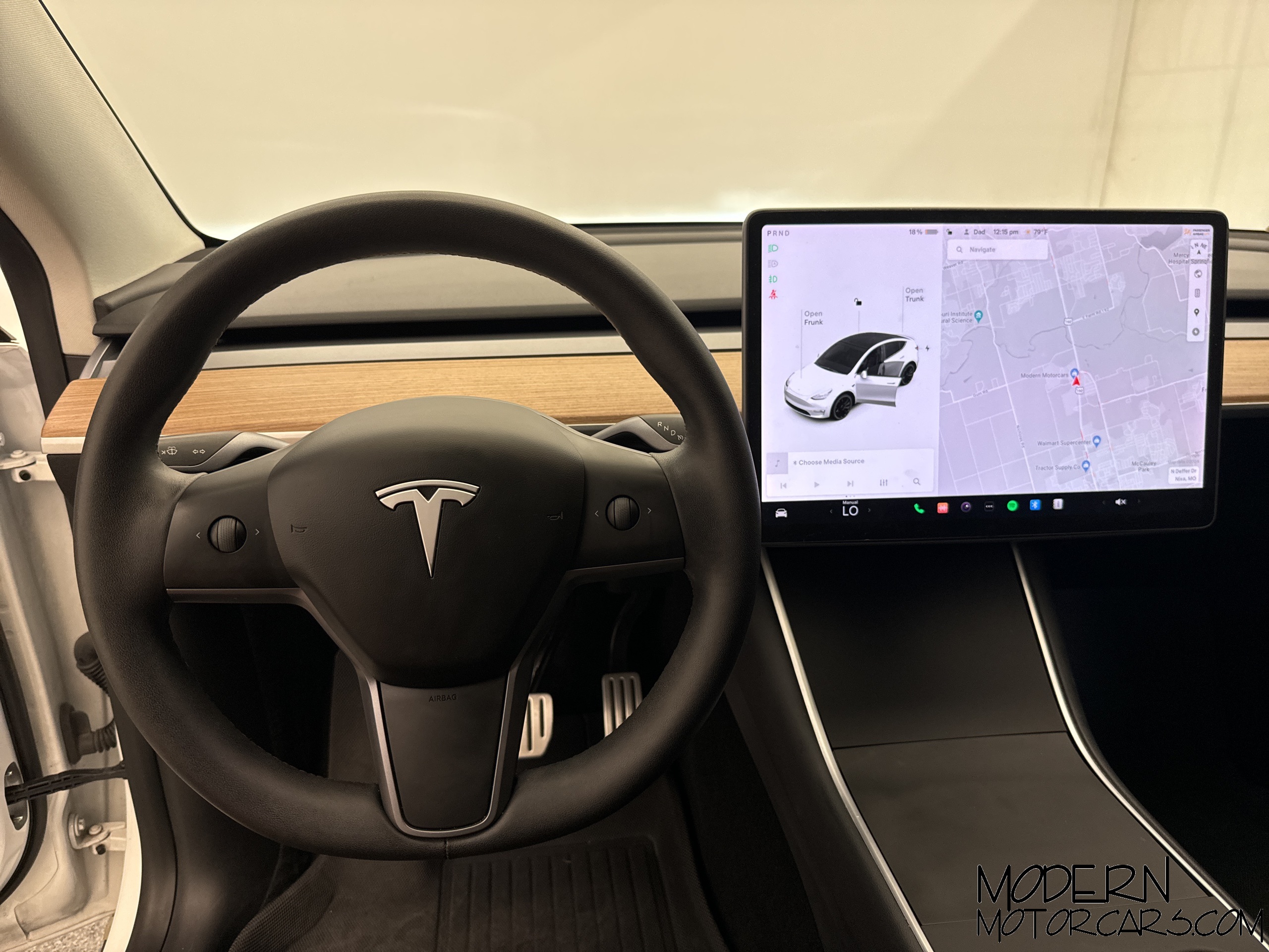 2020 Tesla Model Y Performance 15