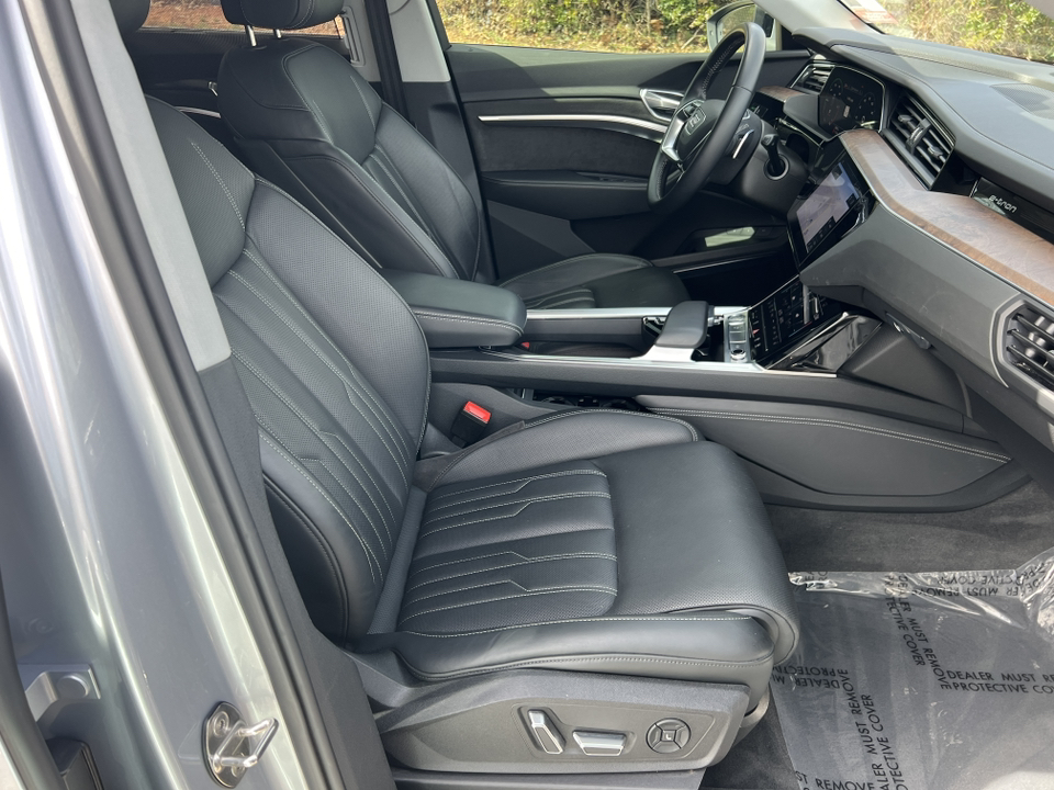 2019 Audi e-tron Prestige 13