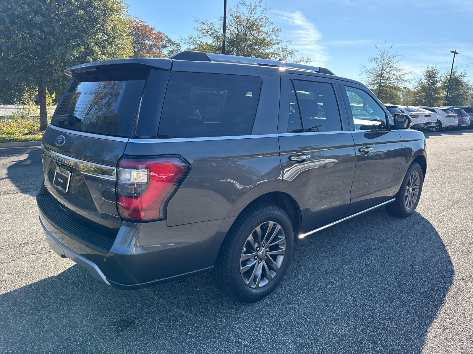 2019 Ford Expedition Limited 7