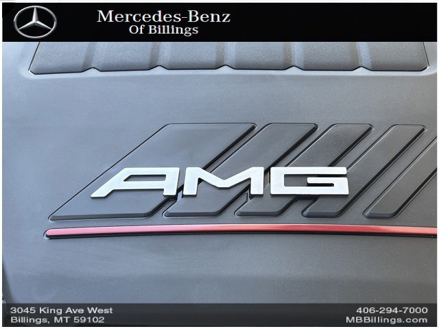 2023 Mercedes-Benz AMG GT 43 Base 2