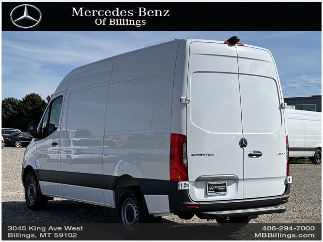 2023 Mercedes-Benz Sprinter 2500 Cargo 144 WB 10