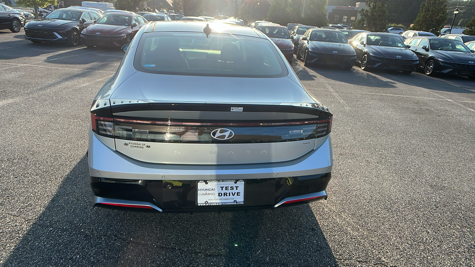 2024 Hyundai Sonata Hybrid Limited 6