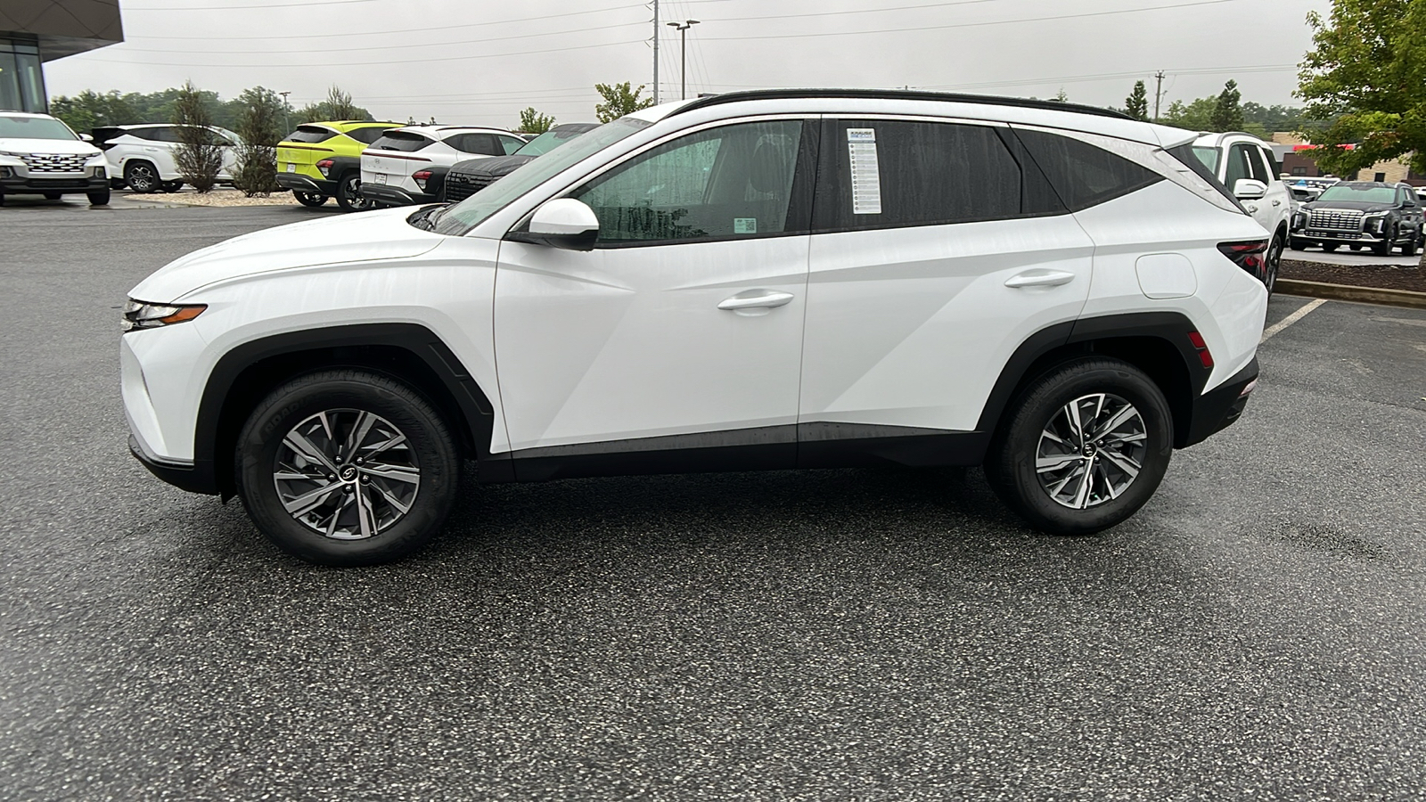 2024 Hyundai Tucson Hybrid Blue 4