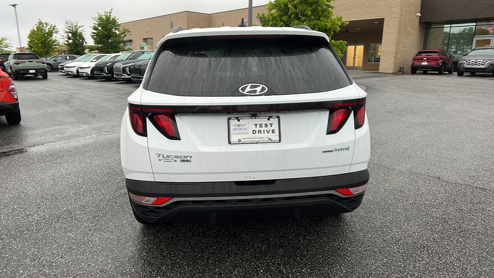 2024 Hyundai Tucson Hybrid Blue 6