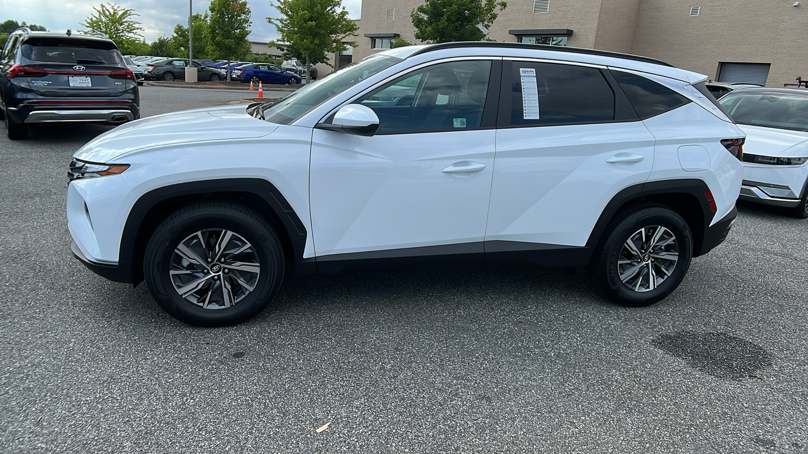 2024 Hyundai Tucson Hybrid Blue 4