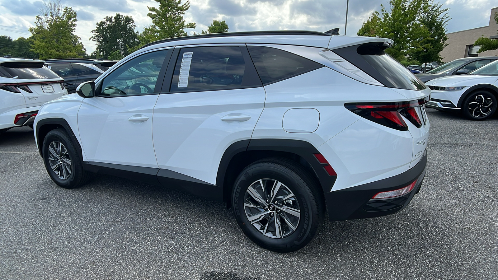 2024 Hyundai Tucson Hybrid Blue 5