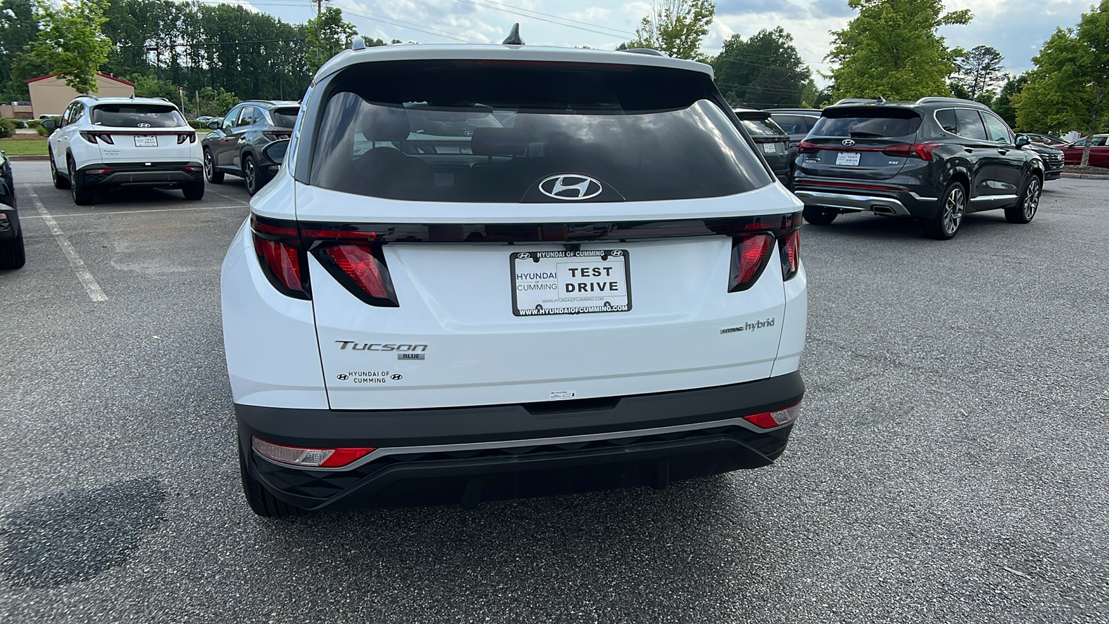 2024 Hyundai Tucson Hybrid Blue 6