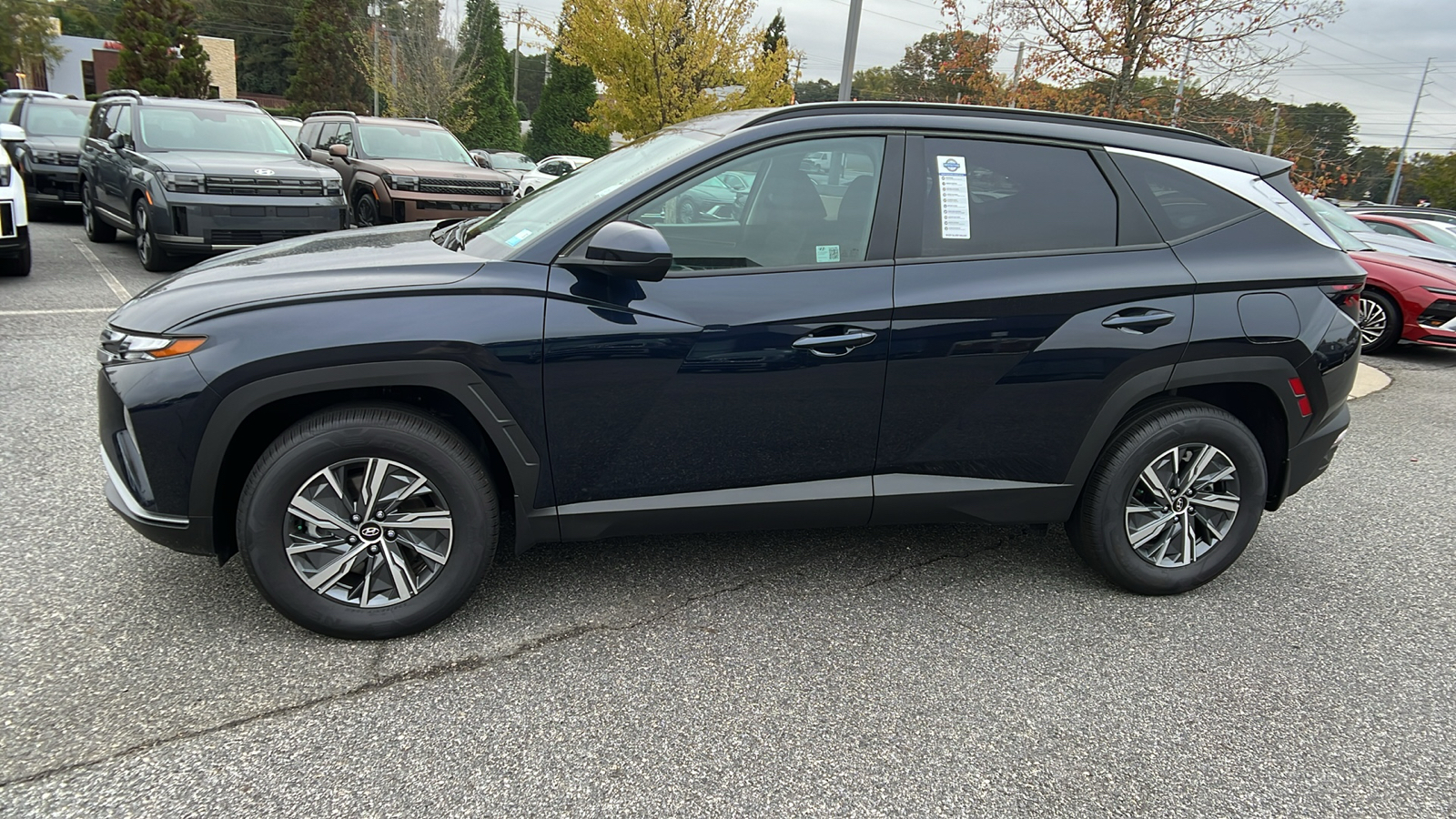 2024 Hyundai Tucson Hybrid Blue 4