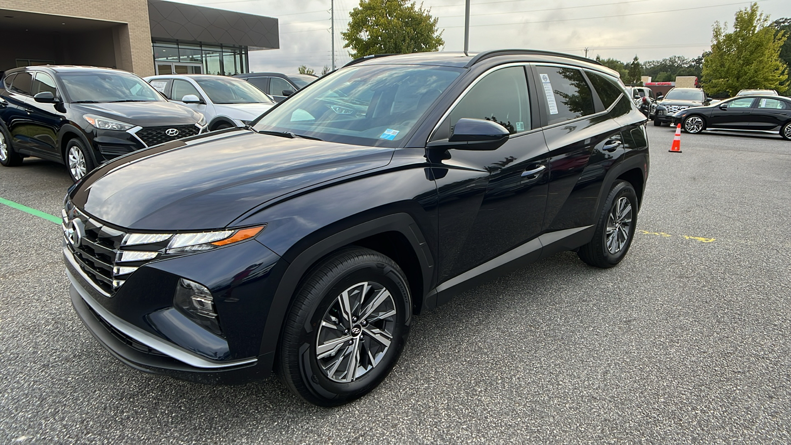 2024 Hyundai Tucson Hybrid Blue 3