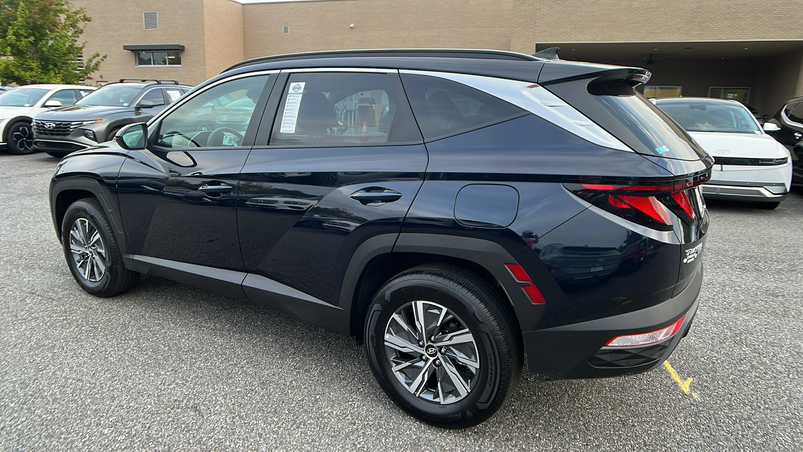 2024 Hyundai Tucson Hybrid Blue 5