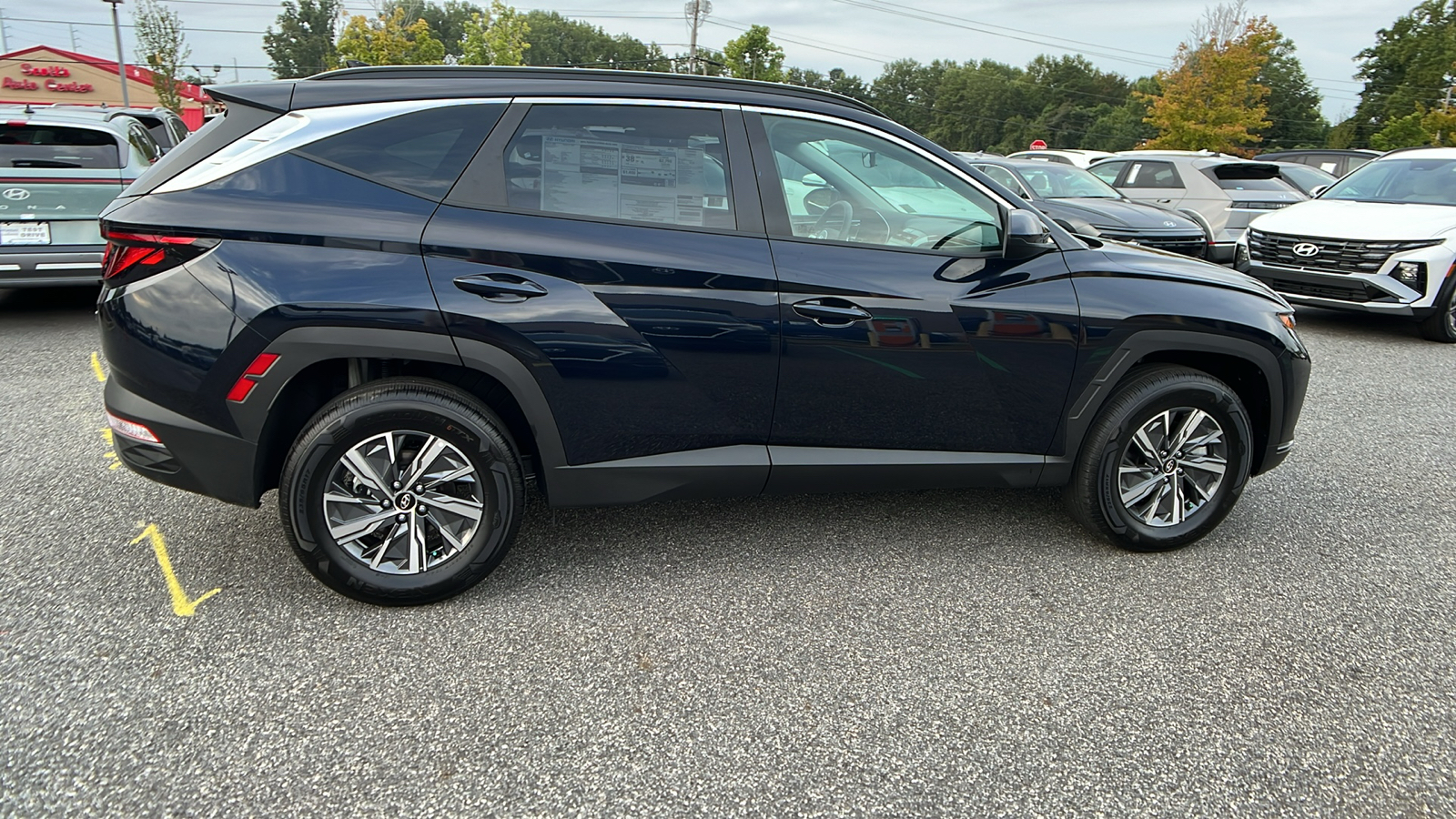 2024 Hyundai Tucson Hybrid Blue 8