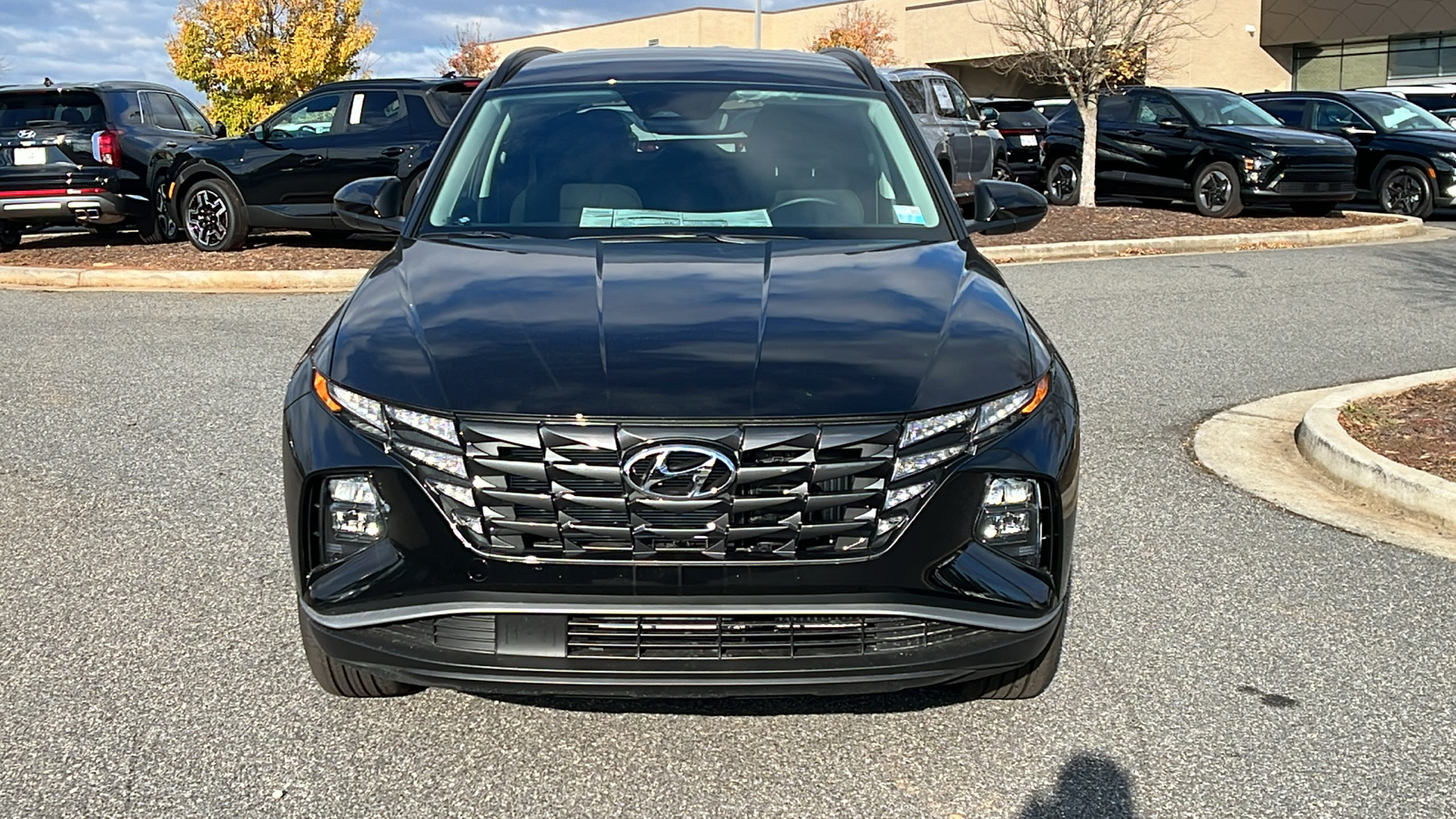 2024 Hyundai Tucson Hybrid Blue 2